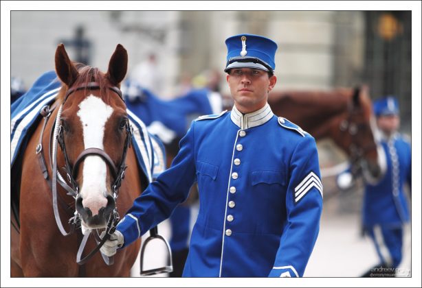 Ушки на макушке.