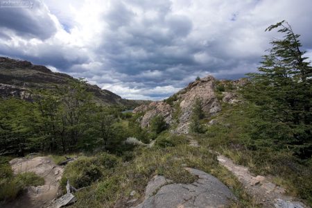 Горный участок тропы вдоль озера Grey.