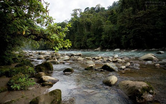 Горная речка с водой молочно-зеленого оттенка. Национальный парк Tapanti NP.