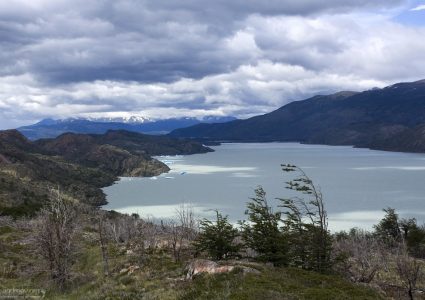 Прибившиеся к берегу айсберги. Озеро Grey.