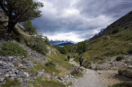 Тропа к леднику Grey.