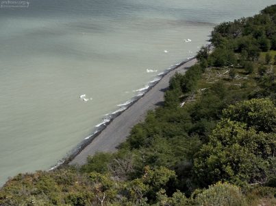 Льдины у берега озера Grey.