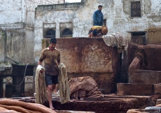 Для придания кожи мягкости в ход идёт обыкновенная соль и куриный, собачий или голубиный помет. Кожевенный кооператив в медине.