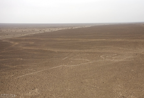 "Руки". Линии Наски.