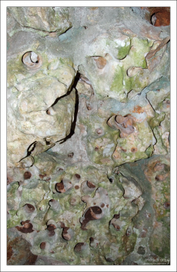 Стены грота, будто выеденные кислотой. Кинта да Регалейра.