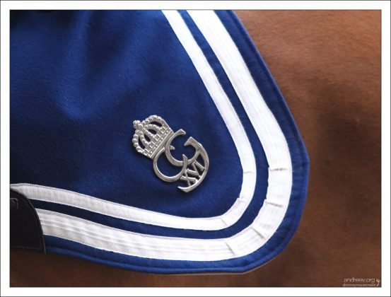 Инициалы Карла Густава 16-го на лошадиной попоне.