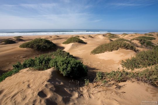 Дюны и Атлантика.