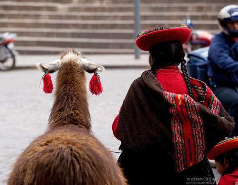 С ламой и её хозяйкой можно было сфотографироваться за пару солей.