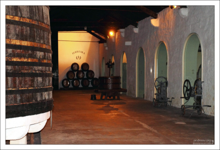 Ступеней и лестниц в погребах нет - чтобы было удобнее катить бочки. Компания "Ferreira". Вила-Нова-де-Гайа.