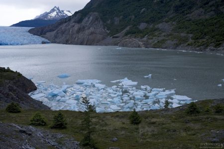 Отколовшиеся от ледника Grey льдины.