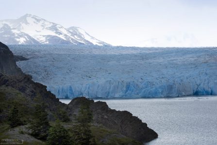 Фронтальная часть ледника Grey.