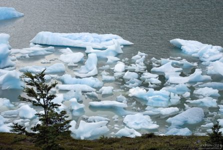 Тусовка льдин у берега.
