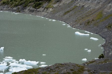 Небольшая бухта около языка ледника Grey.