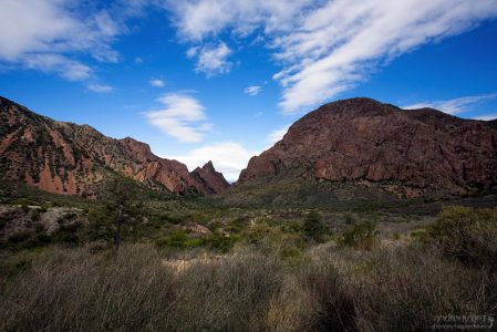Долина, окруженная горами Chisos Mountains.