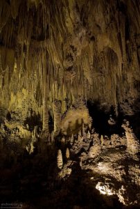 Сталактиты в виде плавников.