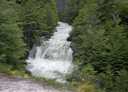 Пороги на одной из рек, впадающей в озеро Grey.