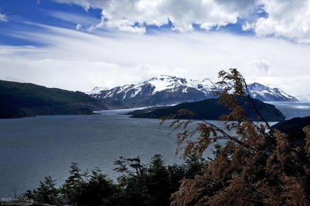 Островок La Isla, разделяющий ледник Grey на два языка.