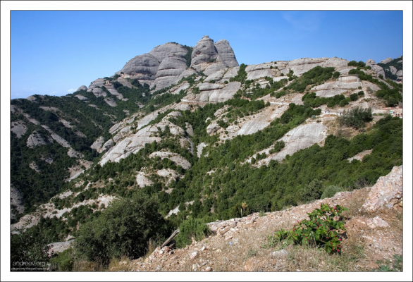 Горный массив уже изрядно порос лесом.