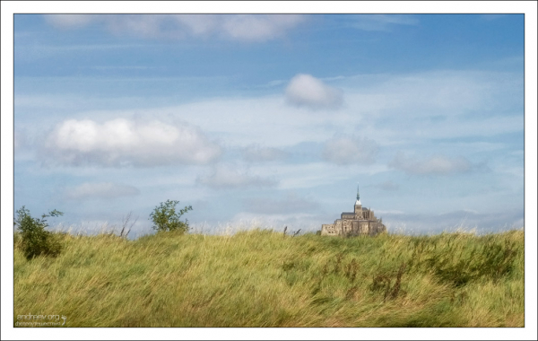 Поля-польдеры, отвоеванные человеком у моря, где разводят овец породы La Grévine.