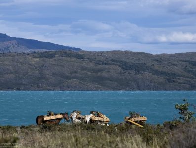 Лошади с поклажей на берегу озера Pehoe.