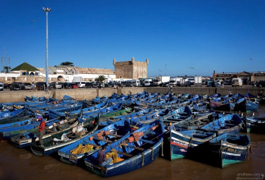 Гавань города конкурирует по количеству улова с Агадиром.