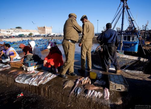 Торговля морепродуктами на пирсе.