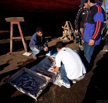 На пирсе закупаются посыльные от многочисленных ресторанов, расположенных в медине.