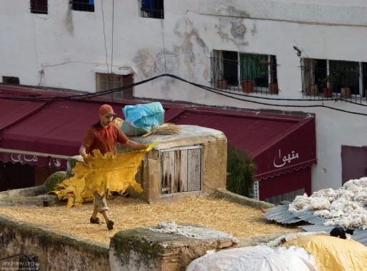 После того, как процесс окрашивания завершен, кожу долго полощут, а затем раскладывают сушиться под солнцем. Кожевенный кооператив в медине.