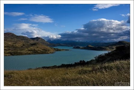 "Пшеничные" поля по берегам озера Pehoe.