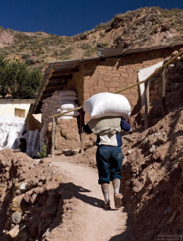Работник кооператива с мешком соли на спине.