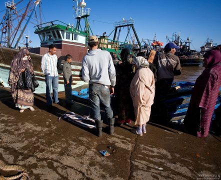 Домохозяйки и к ним примкнувшие в ожидании свежего улова.
