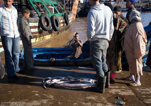 Пойманное выбрасывается из лодок прямо под ноги покупателям.