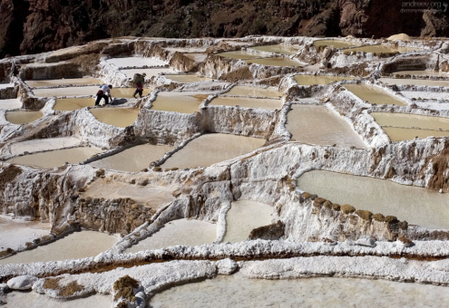 Работники кооператива выносят мешки соли на собственном горбу.