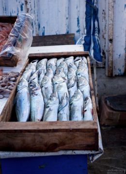 Марокко - крупнейший экспортер сардин в мире.