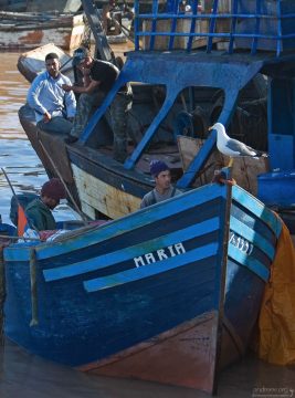 ЕС платит Марокко ежегодную сумму денег, чтобы позволить судам (в основном испанским) заниматься рыболовным промыслом в марокканских водах.