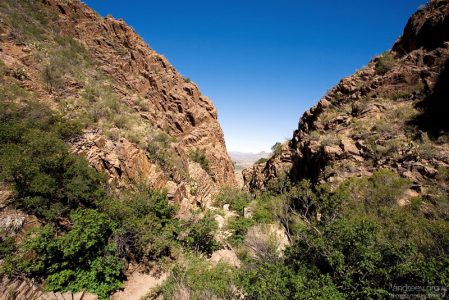 Спуск в каньон по тропе Window Trail.