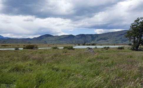 Изгиб реки Grey.