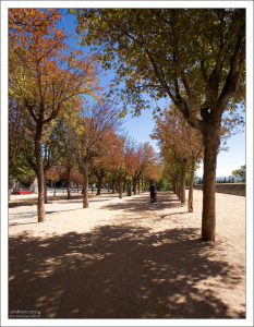 Дорожка к монастырю.