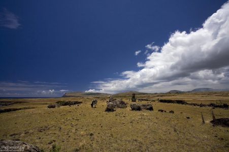 Пустыри на острове.