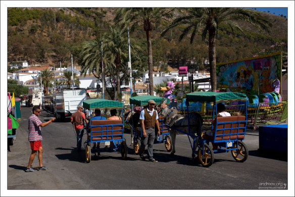 Ослиное такси.