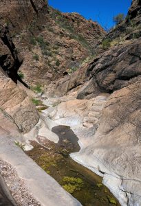 Тропа Window Trail через каньон.