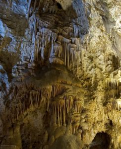 Грибница, освещенная с разных сторон.