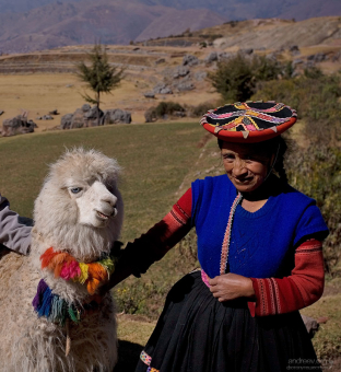 Местная женщина в традиционном платье с годовалой альпакой.