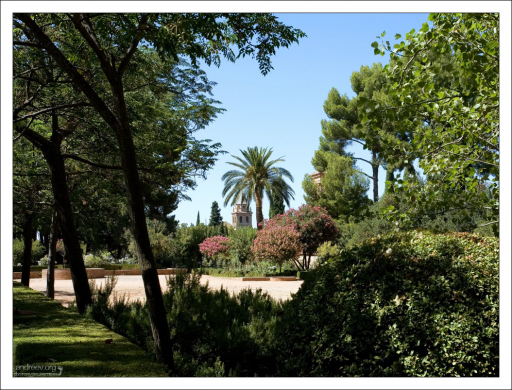 В саду Хенералифе в Альгамбре.