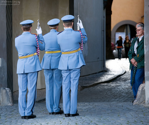 Почетный караул был выставлен впервые в 1918 году для охраны тогдашнего президента Т. Г. Масарика.