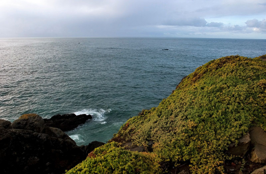 Тихий океан с высоты маяка Battery Point Lighthouse.