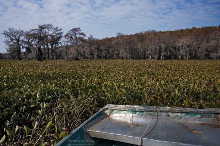 Дальше хода нет.