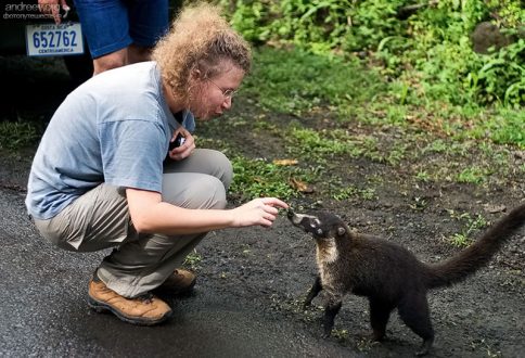 Катя пытается познакомиться с носухой.