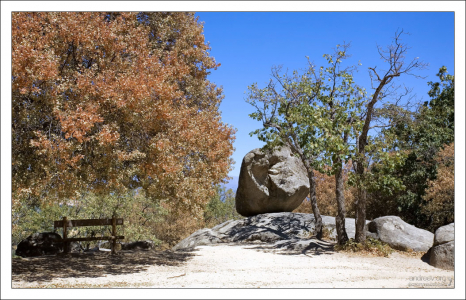 Небольшой сквер в лесу около Стула Филиппа II.
