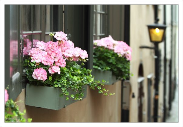 Переулок в Гамла Стане.